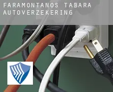 Faramontanos de Tábara  autoverzekering
