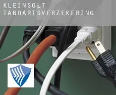 Kleinsolt  tandartsverzekering