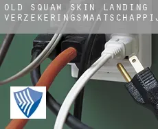 Old Squaw Skin Landing  verzekeringsmaatschappij