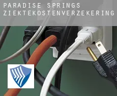 Paradise Springs  ziektekostenverzekering