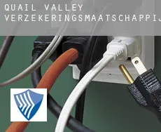 Quail Valley  verzekeringsmaatschappij