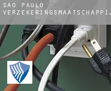 São Paulo  verzekeringsmaatschappij