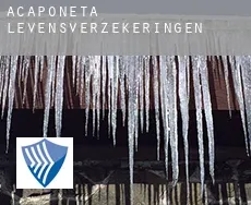 Acaponeta  levensverzekeringen