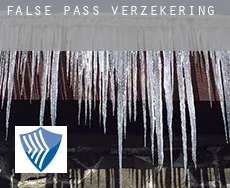 False Pass  verzekering