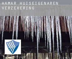 Hamar  huiseigenaren verzekering