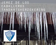 Jerez de los Caballeros  tandartsverzekering