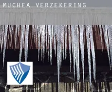 Muchea  verzekering