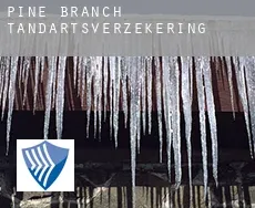 Pine Branch  tandartsverzekering