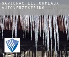 Savignac-les-Ormeaux  autoverzekering