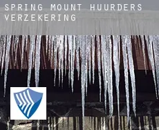 Spring Mount  huurders verzekering