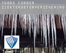 Todds Corner ziektekostenverzekering