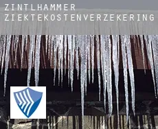 Zintlhammer  ziektekostenverzekering
