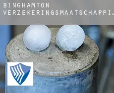 Binghamton  verzekeringsmaatschappij