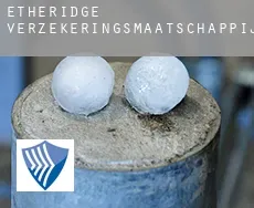 Etheridge  verzekeringsmaatschappij