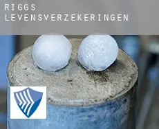 Riggs  levensverzekeringen