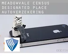 Meadowvale  autoverzekering