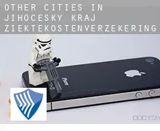 Other cities in Jihocesky kraj  ziektekostenverzekering