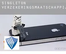 Singleton  verzekeringsmaatschappij