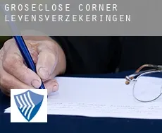 Groseclose Corner  levensverzekeringen