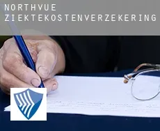 Northvue  ziektekostenverzekering
