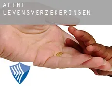 Alene  levensverzekeringen