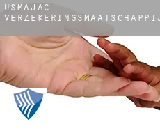 Usmajac  verzekeringsmaatschappij