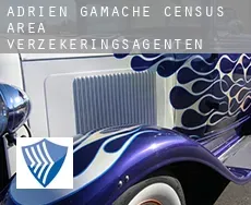 Adrien-Gamache (census area)  verzekeringsagenten