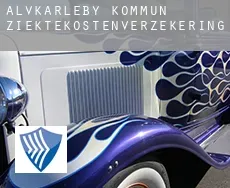 Älvkarleby Kommun  ziektekostenverzekering