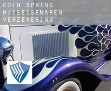 Cold Spring huiseigenaren verzekering
