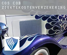 Cos Cob  ziektekostenverzekering