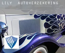 Lily  autoverzekering