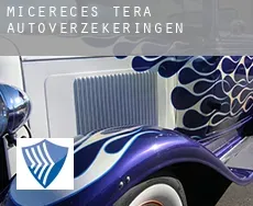 Micereces de Tera  autoverzekeringen