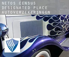 Netos  autoverzekeringen