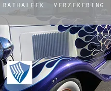 Rathaleek  verzekering