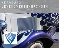 Wernswig  levensverzekeringen