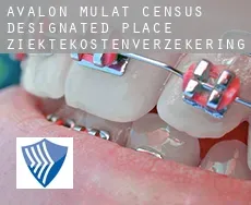 Avalon Mulat  ziektekostenverzekering