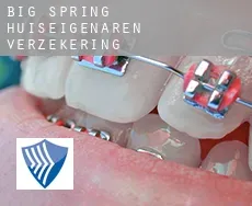 Big Spring  huiseigenaren verzekering