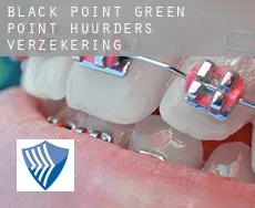 Black Point-Green Point  huurders verzekering