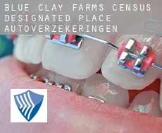 Blue Clay Farms  autoverzekeringen