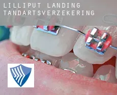 Lilliput Landing  tandartsverzekering