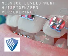 Messick Development  huiseigenaren verzekering