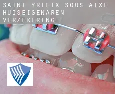 Saint-Yrieix-sous-Aixe  huiseigenaren verzekering