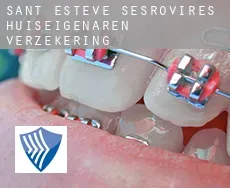 Sant Esteve Sesrovires  huiseigenaren verzekering