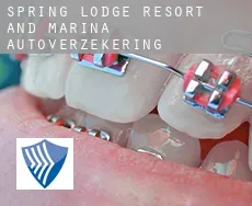 Spring Lodge Resort and Marina  autoverzekering