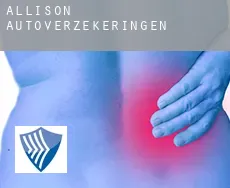 Allison  autoverzekeringen