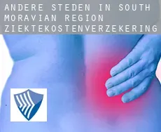 Andere steden in South Moravian Region  ziektekostenverzekering