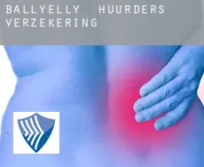 Ballyelly  huurders verzekering