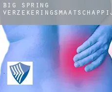 Big Spring verzekeringsmaatschappij