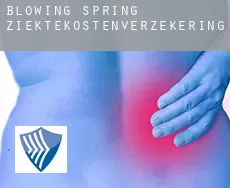 Blowing Spring  ziektekostenverzekering