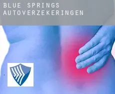 Blue Springs  autoverzekeringen